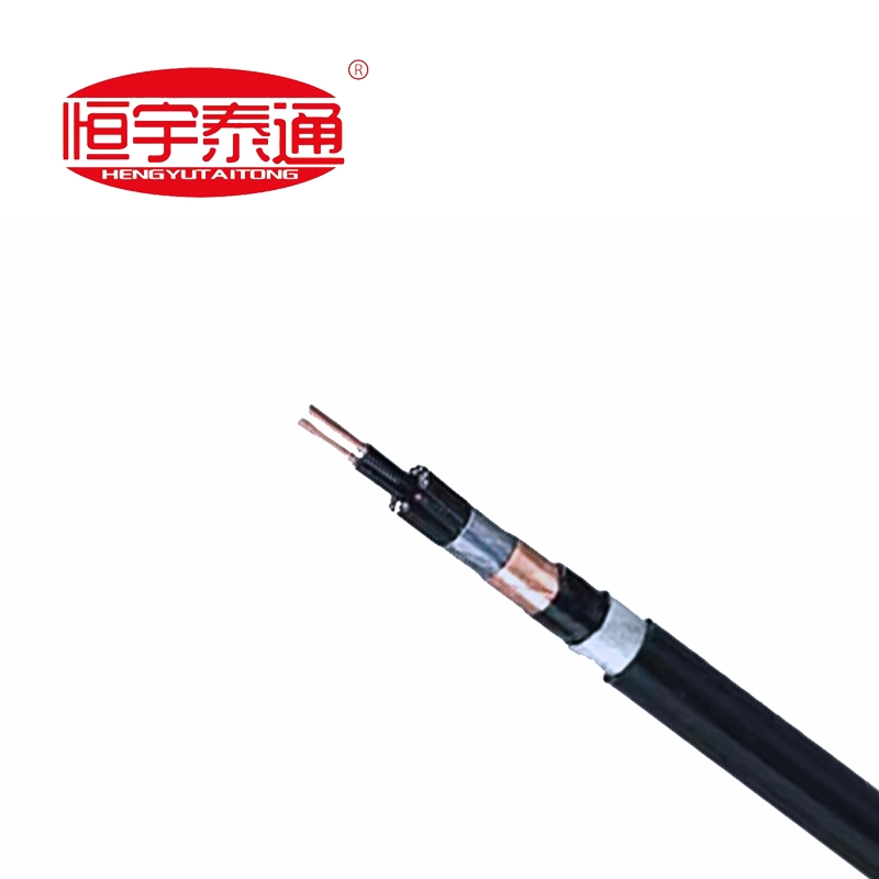 Fluoroplastic insulatas calor resistens funibus specialibus